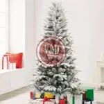 D_NQ_NP_2X_929699-MLU73180645965_112023-F