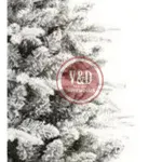 D_NQ_NP_2X_963999-MLU73097011690_112023-F