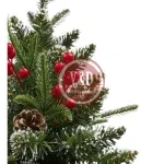 D_NQ_NP_2X_688879-MLU98494094108_112025-F