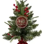 D_NQ_NP_2X_784269-MLU98496775532_112025-F