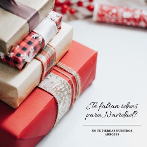 BANNER DERECHO DE LA WEB